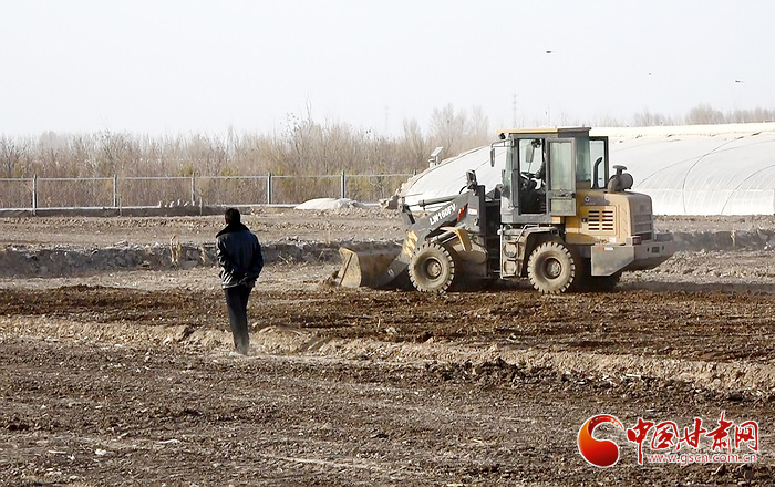 【甘肅全民戰“疫”】高臺：懷揣訂單好種田