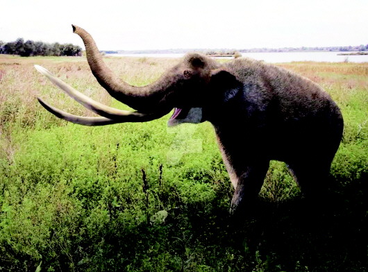 平涼尋寶記：大秦鄉農民挖出罕見史前巨獸