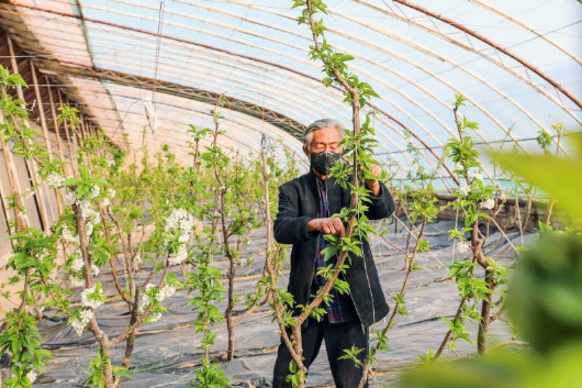 銅城復蘇：春光明媚，邀你共賞芳華（組圖）