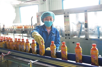 臨夏州和政縣因地制宜大力發展啤特果特色產業