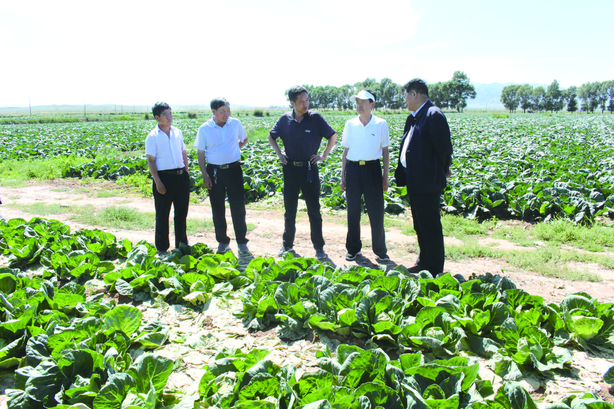 基層科普行動計劃點亮發展之路——五年來金昌市實施“基層科普行動計劃”綜述
