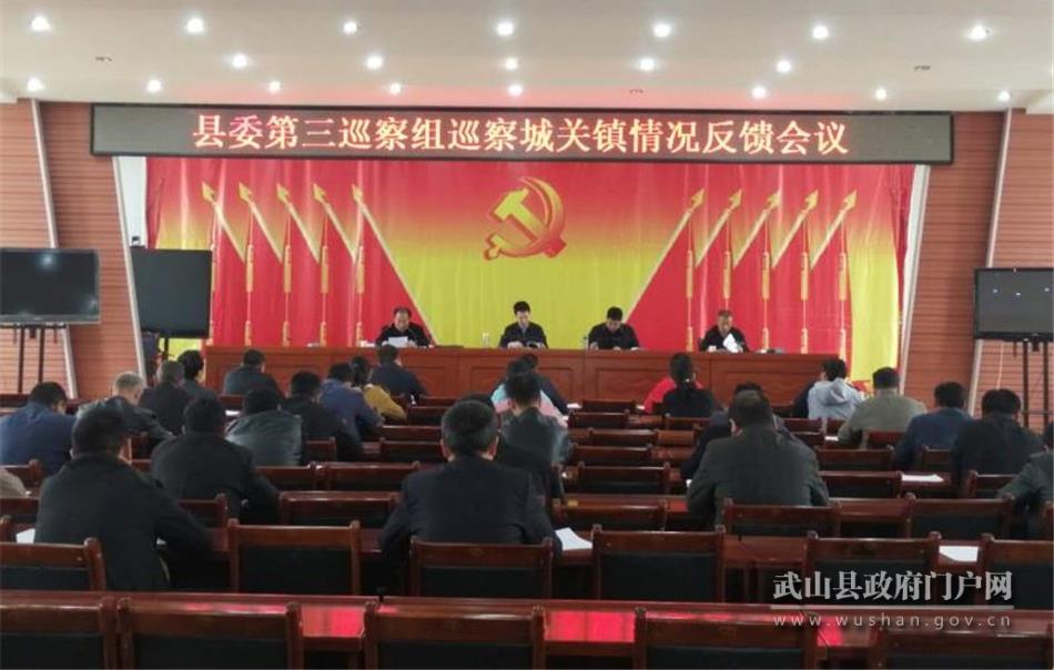 十四屆武山縣委第五輪巡察及醫療領域專項巡察組向各被巡察單位反饋意見