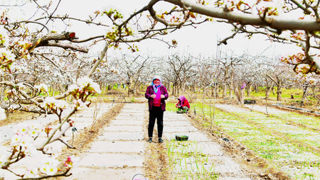 持續鞏固脫貧成果 確保如期打贏脫貧攻堅戰——訪酒泉市委書記吳仰東