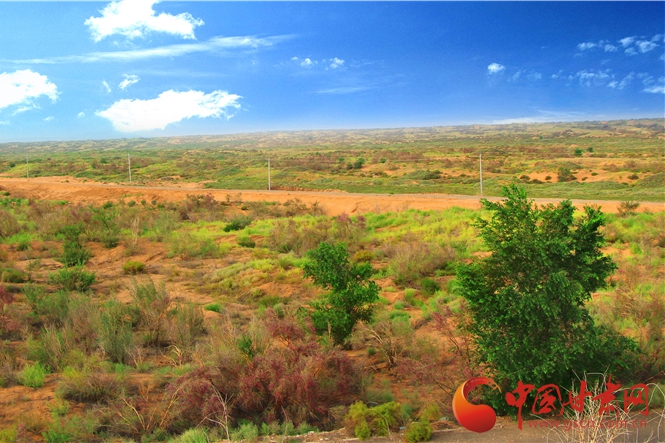 弘揚“八步沙精神”主題黨日學習活動舉行（圖）