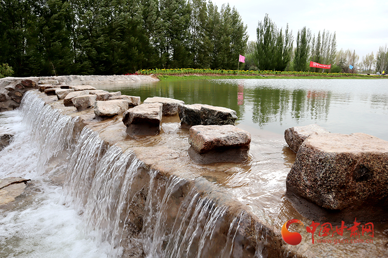 臨澤：內疏外連構建生態水系大網絡 再現“塞上江南”壯美景觀