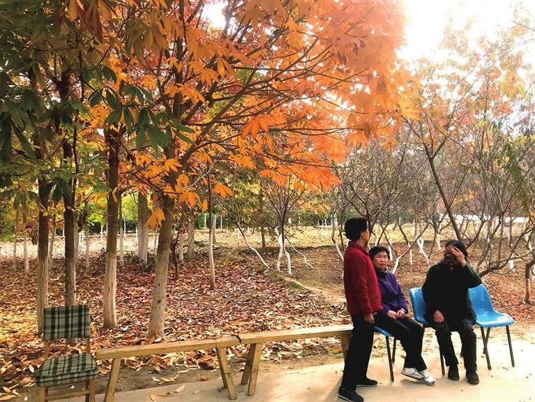 西固月牙橋社區從細節入手提升居民幸福感