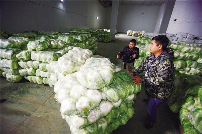 蘭州市已儲備1萬噸冬春蔬菜以耐貯存、易周轉品種為主