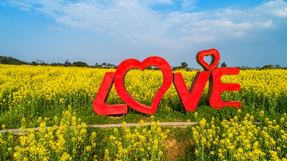 “love”創意拍照墻。廖濤 攝