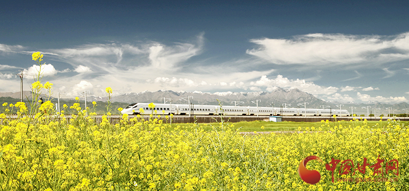 坐上火車“邂逅”春天，你可以這樣享“鐵路游”