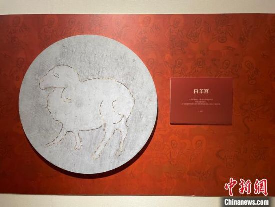 圖為展覽現(xiàn)場(chǎng)。　江楊燁 攝