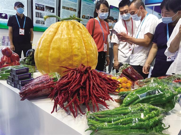 第二十七屆蘭洽會實現“線上+線下”全面展示“地道甘味”散發獨特魅力