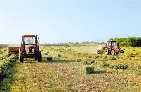 寧縣中泰種養殖農民專業合作社種植的6800畝紫花苜蓿開始二茬收割