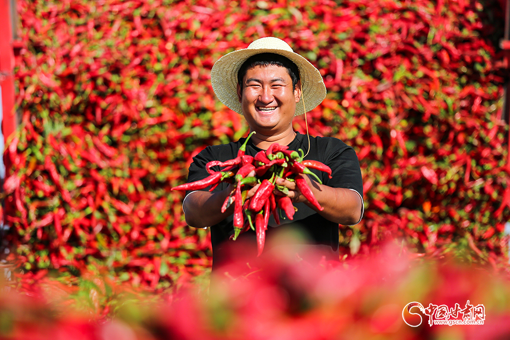 甘肅省“100系列”大型全媒體主題宣傳收官 中國甘肅網相關作品閱讀量近800萬