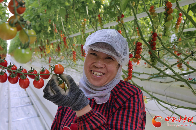 【小康路上看老鄉】 武威古浪：富民新村到處是機會  日子越過越紅火