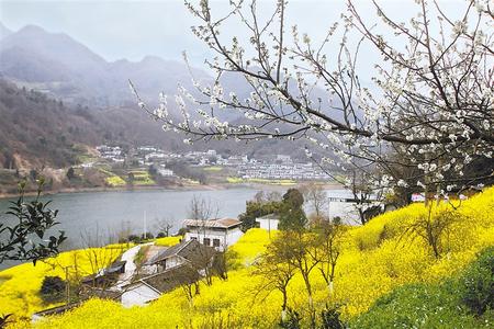 隴南文縣范壩鎮讓水河畔風光旖旎