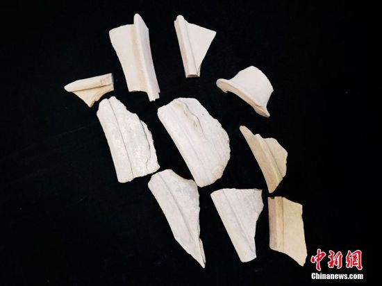 圖為靜寧縣賈河鄉(xiāng)竇坪村出土的彩陶片、紅陶片。 夏劍鋒 攝