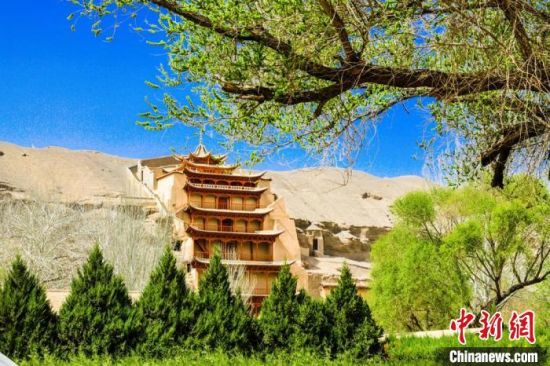 4月的敦煌莫高窟景區春意盎然。(資料圖) 王斌銀 攝