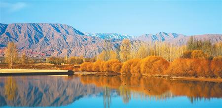 張掖市甘州區黑河流域草灘莊水域水鳥游弋