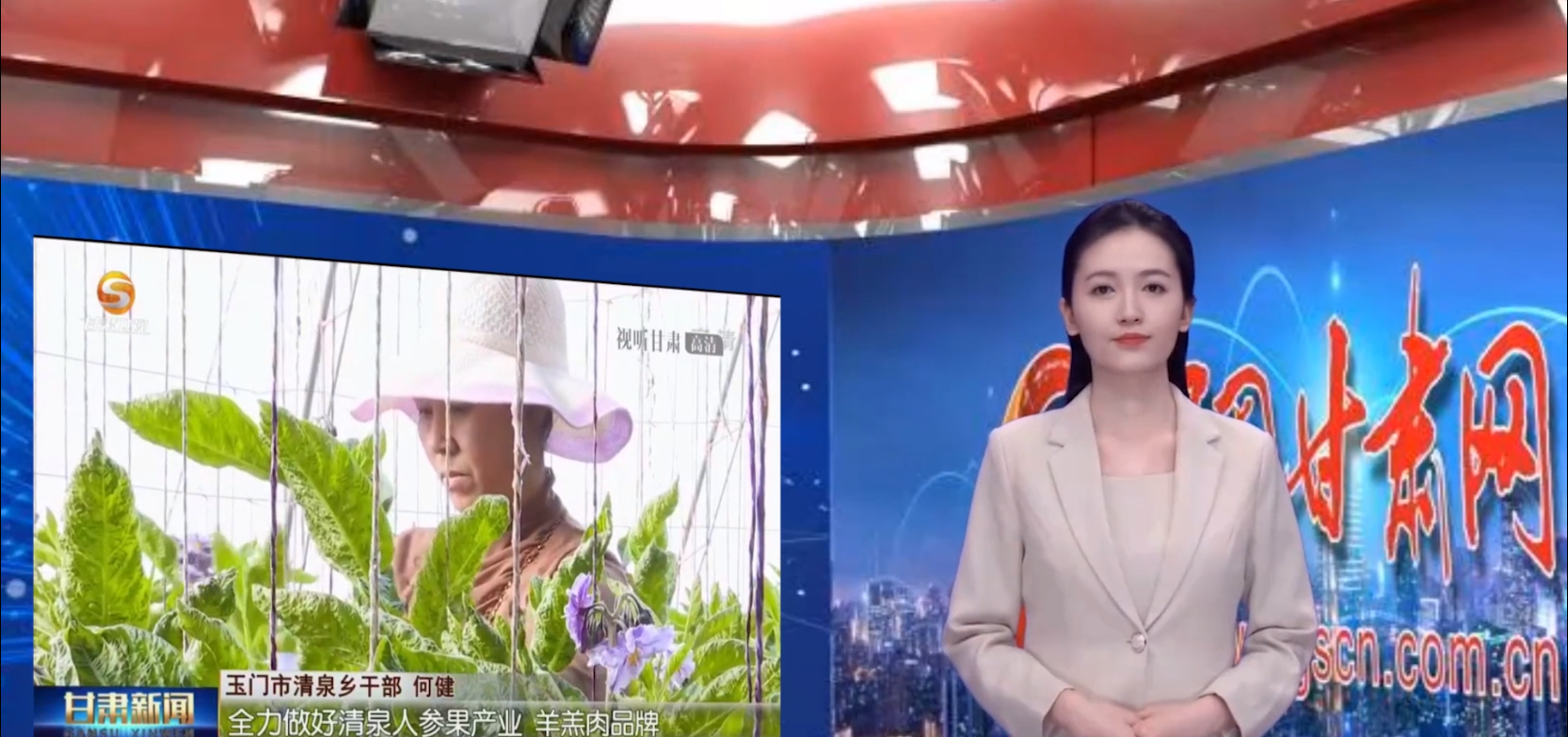 【AI小隴說·黨的二十大精神在基層】示范建設為引領,美麗鄉村畫中來