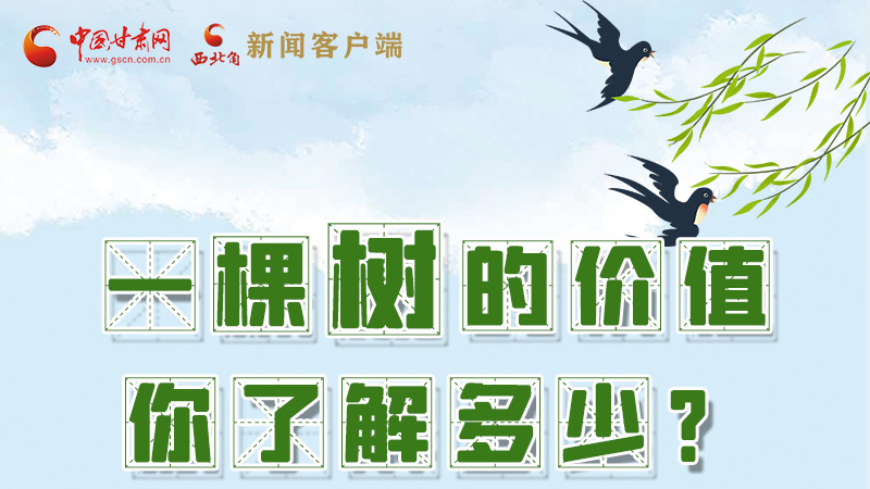 圖解|一棵樹的價值你了解多少?來看！