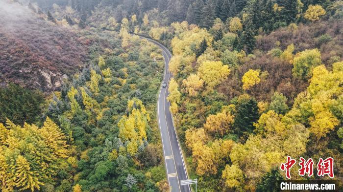 深秋，航拍位于蘭州市榆中縣的興隆山，景色如畫。金峯 攝</p>
<p>
