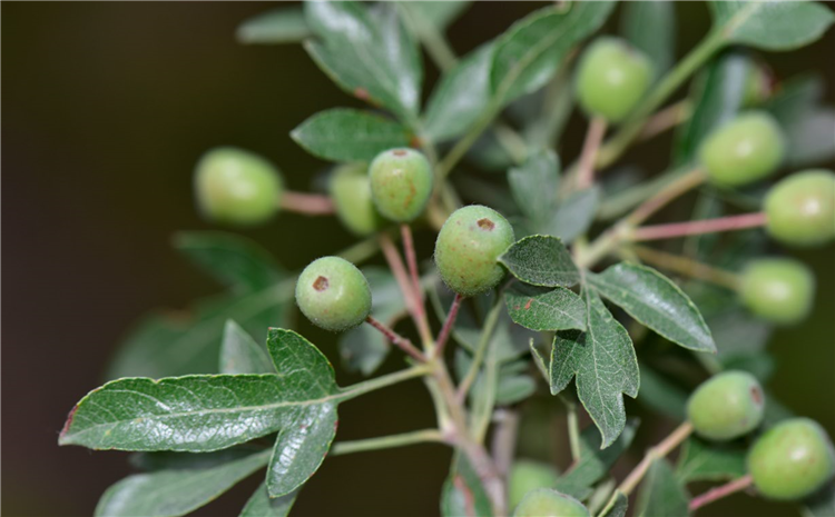 1721366955978965.png 22-2.png