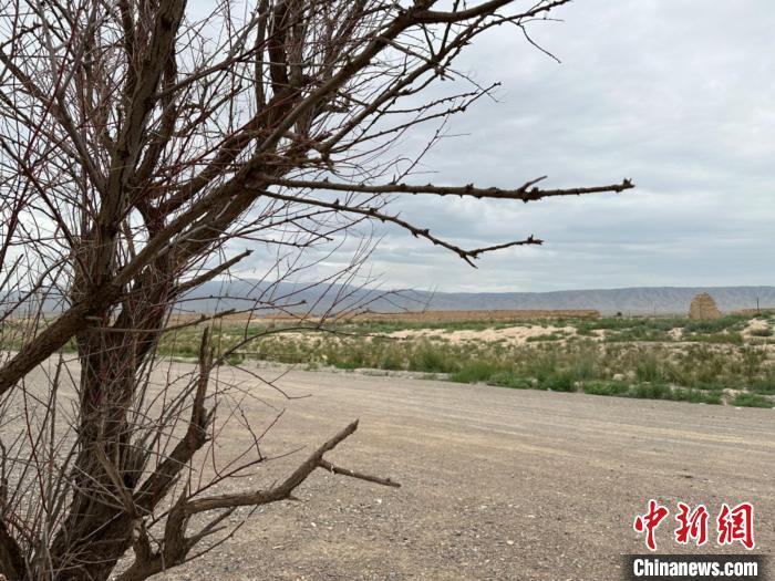 圖為位于長城墻體上的“馬面”或“敵臺”。　戴文昌 攝