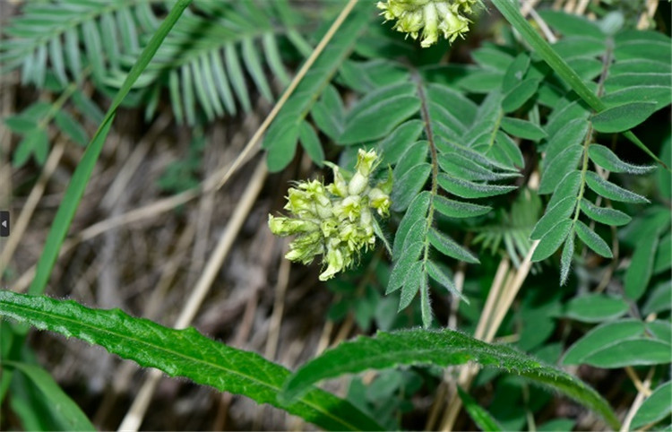 1721720800788845.jpg 24-2.jpg