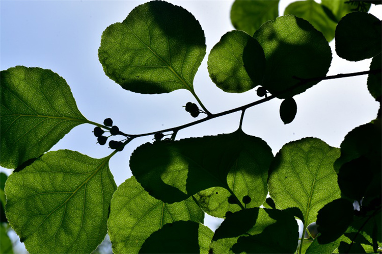 1722568630815594.jpg 7-2.jpg