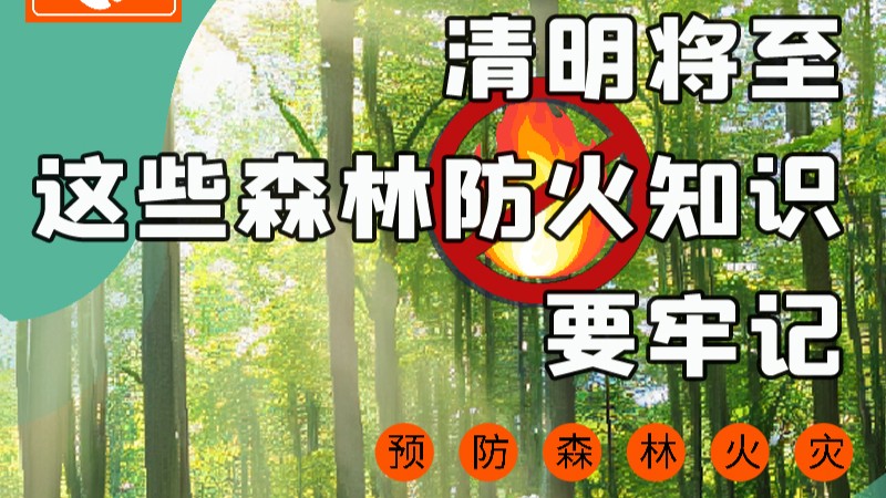 【甘快看】圖解|緊繃“安全弦”!清明,這些森林防火知識要牢記