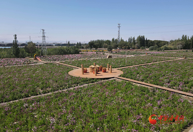 玉門：繪就和美鄉村“實景圖”